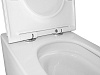 Унитаз подвесной Azario Cascad AZ-2303-A, безободковый, торнадо, сиденье микролифт купить в СОМ