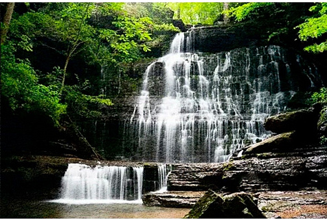 Ковер прямоугольник  в ассортименте, 1х2м купить в СОМ