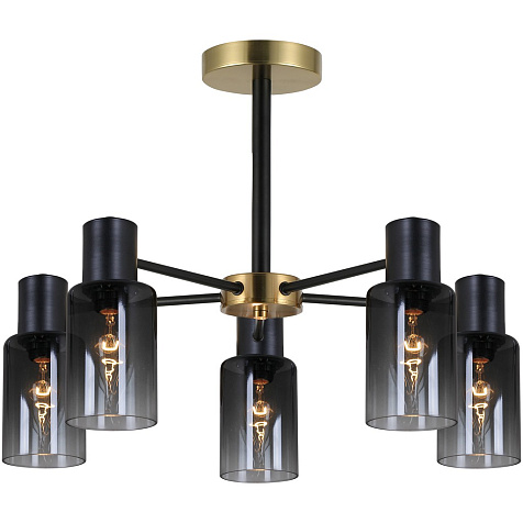 Светильник потолочный 74677-0.3-05 купить в СОМ